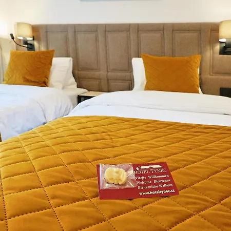 Tynec Hotel *