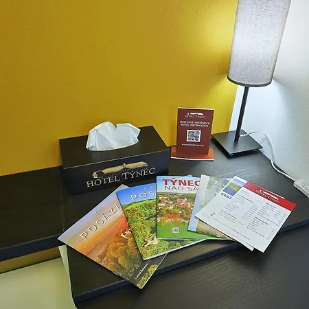 Tynec Hotel *